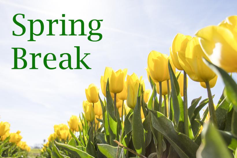 Spring Break Office Hours